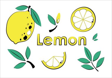 Set of flat  vector lemon with line. Yellow lemon slices on white background. Line art with yellow color.