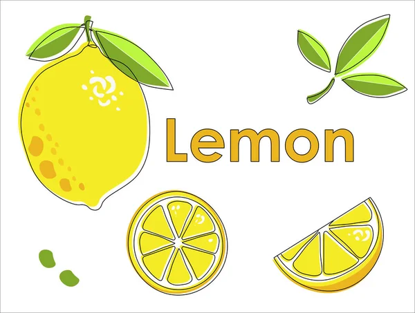 Flat  vector lemon with line. Yellow lemon slices on white background
