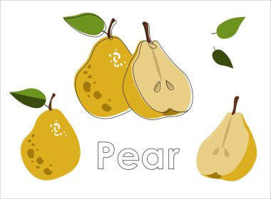 Çizgili düz vektör armudu. Beyaz armutlar