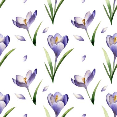 Crocus bahar çiçekleri açık mor arka planda pürüzsüz desen. Safran çiçeği..