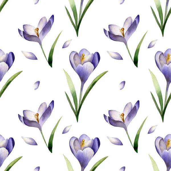 stock image Crocus spring flowers seamless pattern on light violet background. Saffron flower.