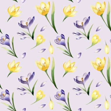 Crocus bahar çiçekleri açık mor arka planda pürüzsüz desen. Safran çiçeği. Mor ve sarı çiçekler. Bahar tasarımı