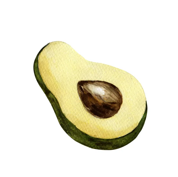 Aquarell Halbe Avocado Auf Weißem Hintergrund — Stockfoto
