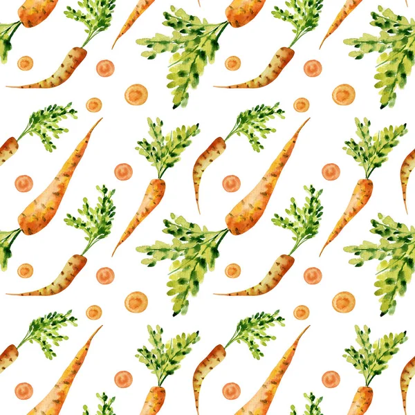 Kusursuz suluboya havuç deseni. Suluboya sebze. Havuç çizimleri.