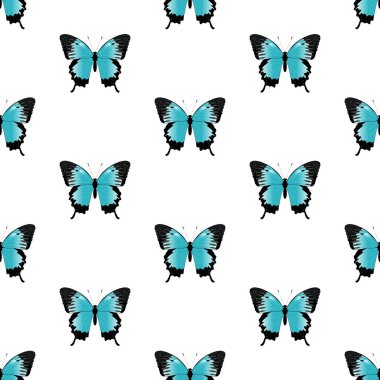 Kelebeklerin kusursuz deseni. Kelebek papilio Ulysses. Kelebek ve beyaz arka planda insept. Mavi kelebek.