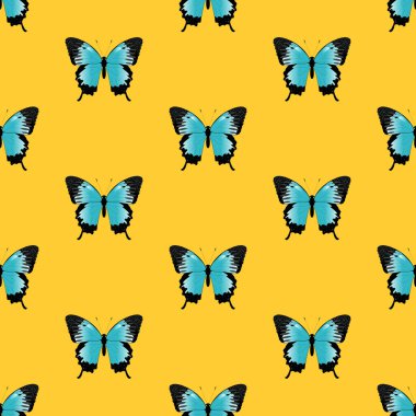 Seamless pattern of butterflies. The butterfly papilio ulysses. Buttrerfly and insept on yellow background. Blue butterfly.