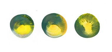 Renkli daire arkaplan, suluboya soyut arkaplan. El çizimi. Suluboya balonu.