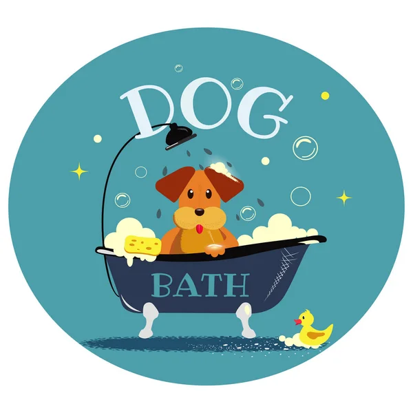 Vector sticker köpeği banyoda. Bakım salonu. Şirin köpek yüzüyor. Evcil hayvan dükkanı. Tımar ustası. Kauçuk ördekli köpek.