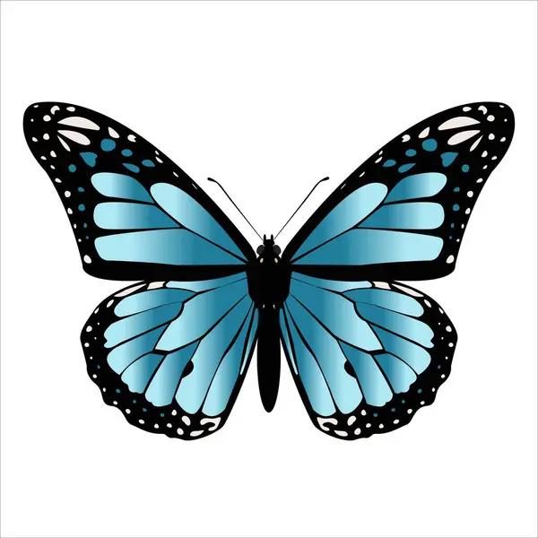Mavi Kelebek Kral kelebeği. Kelebek ve böcek. 