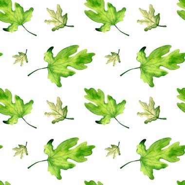 Beyaz arka planda suluboya incir yapraklarının kusursuz deseni. İncir ağacı, çınar..