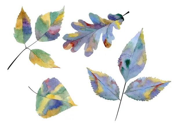 Farklı ağaçların yaprakları. Beyaz arkaplanda suluboya çizimleri.