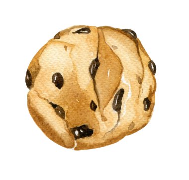 Suluboya zencefilli kurabiye. El çizimi çizimi. Ulusal Çikolatalı Kurabiye Günü. Yuvarlak çikolatalı kurabiyeler beyaz arkaplanda izole edilmiş..