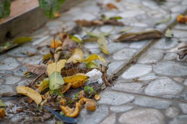 Evin önüne serpiştirilmiş kuru yapraklar ve soyut taş seramik doku motifleri.