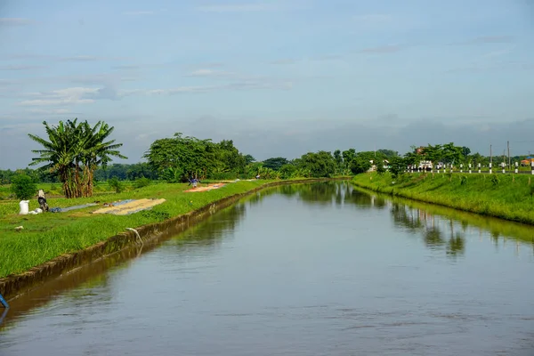 stock image view of the river in the middle between the rice fields and the highway