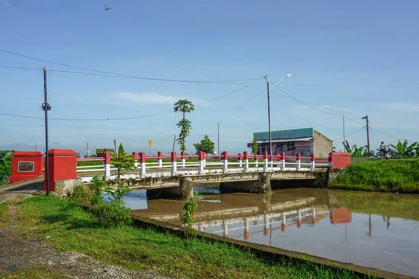 Pirinç Tarlalarıyla Otoyol Arasındaki Nehrin Ortasındaki Manzara — Stok fotoğraf