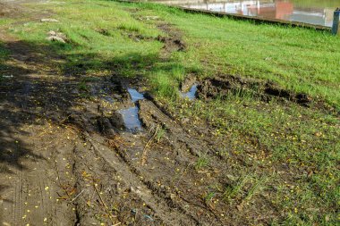 Çamurlu ıslak arazi yabani otlarla kaplandı.