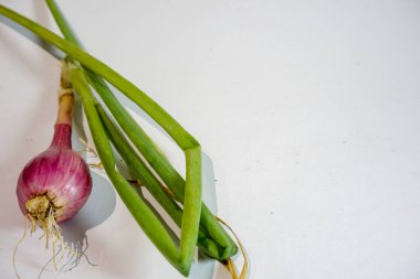 Yaprakları ve kökleri hala düz gri arkaplan ile izole edilmiş arpacık soğanı