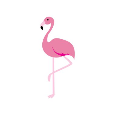 Pembe flamingo kuş simgesi vektör çizimi tasarımı