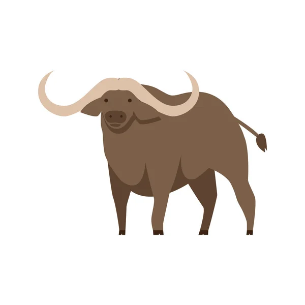 Bull Symbol United Arab Emirates — Stock Photo, Image
