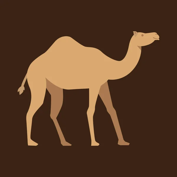 Ícone Camelo Design Plano Ilustração Vetorial Areia Deserto — Fotografia de Stock
