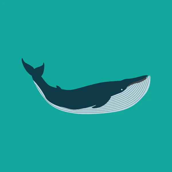 Dolfijn Pictogram Vector Illustratie Ontwerp — Stockfoto