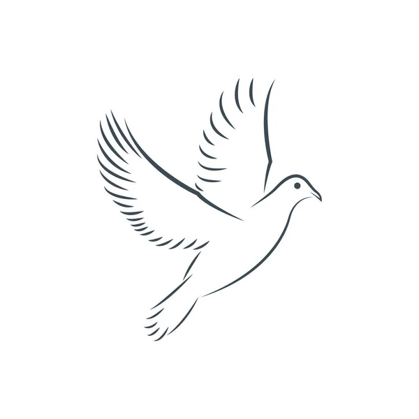 Dove Icon Vector Illustration — Stock Photo, Image