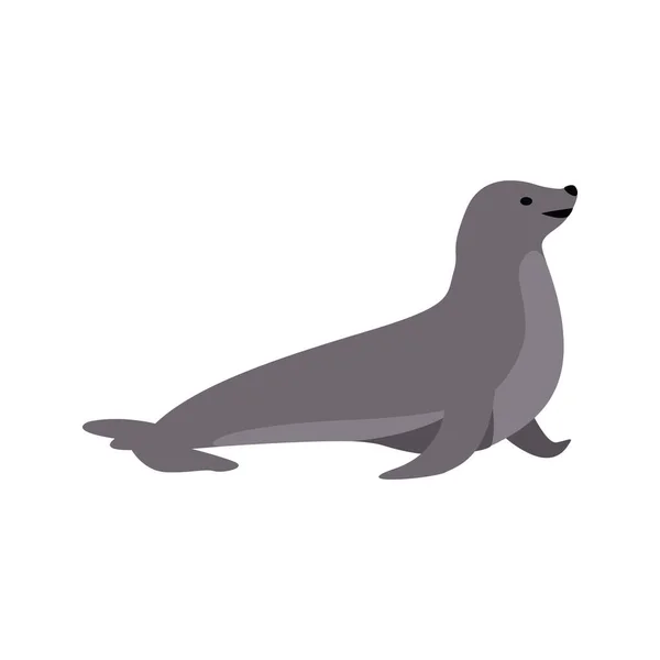 Vektor Illustration Söt Pingvin Ikon — Stockfoto