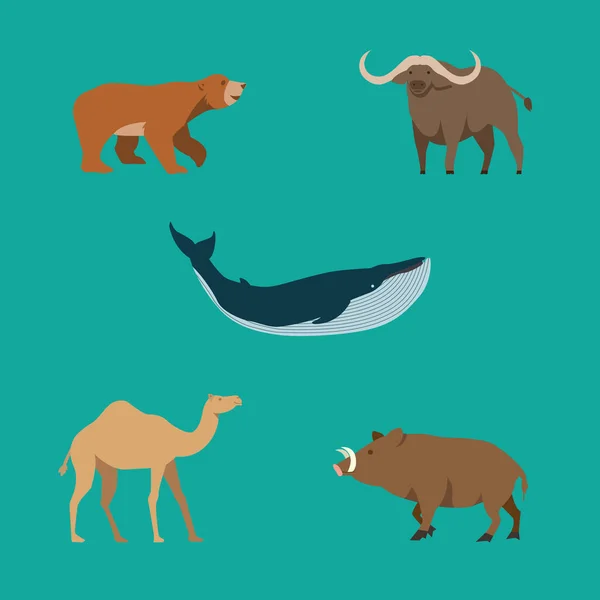 Reihe Von Vektorsymbolen Von Tieren — Stockfoto
