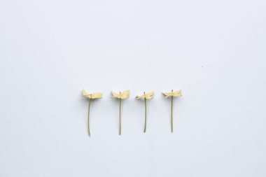 Işık arkaplanındaki beyaz plastik çubuklar.