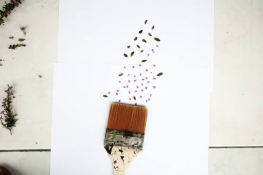 beyaz arkaplanda boya fırçaları ve fırçalar