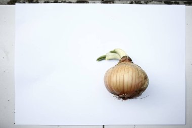 Beyaz arka planda sarımsak ve soğan