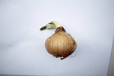 Beyaz arka planda taze sarımsak.