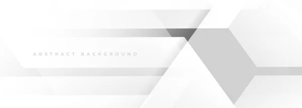 Gray White Abstract Modern Banner Design White Grey Wide Technology — Wektor stockowy