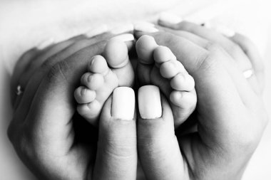 Mother is doing massage on her baby foot. Closeup baby feet in mother hands. Prevention of flat feet, development, muscle tone, dysplasia. Family, love, care, and health concepts. Black and white. 