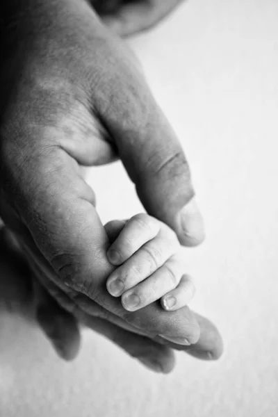 The hand of a sleeping newborn in the hand of parents, mother and father close-up. Tiny fingers of newborn. The family is holding hands. Black and white macro photography Concepts of family and love