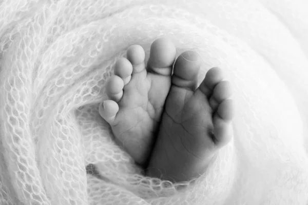 The tiny foot of a newborn. Soft feet of a newborn in a woolen blanket. Close up of toes, heels and feet of a newborn baby. Studio Macro black and white photography. Womans happiness.