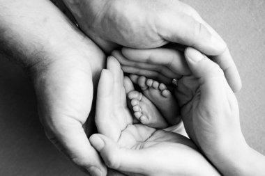 Childrens legs in the hands of mother, father, parents. Feet of a tiny newborn close up. Mom and her child. Happy family concept. Beautiful concept image of motherhood stock photo.