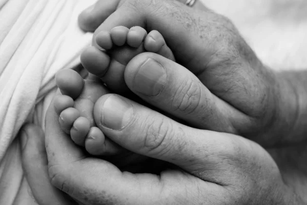 Childrens foot in the hands of mother, father, parents. Feet of a tiny newborn close up. Little baby legs. Mom and her child. Happy family concept. Black and white image of motherhood stock photo.