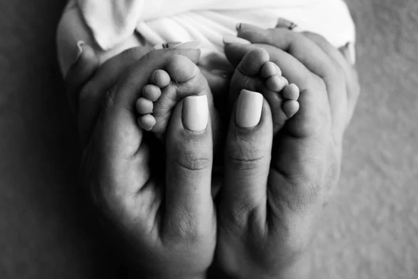 Legs, toes, feet and heels of a newborn. With the hands of parents, father, mother gently holds the childs legs. Macro photography, close-up. Black and white photo. High quality photo.