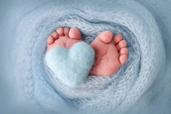 Legs, toes, foot and heels of a newborn. The feet wrapped in a blue knitted blanket. Macro stidio photo, close-up. Knitted blue heart in babys legs.