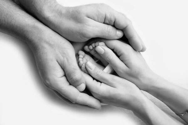Legs, toes, feet and heels of a newborn. With the hands of parents, father, mother gently holds the childs legs. Macro photography, close-up. Black and white photo. High quality photo.