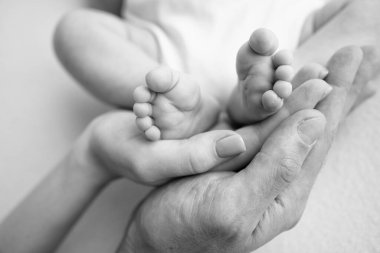 Baby feet in the hands of mother, father, older brother or sister, family. Feet of a tiny newborn close up. Little childrens feet surrounded by the palms of the family. Parents and their child. 