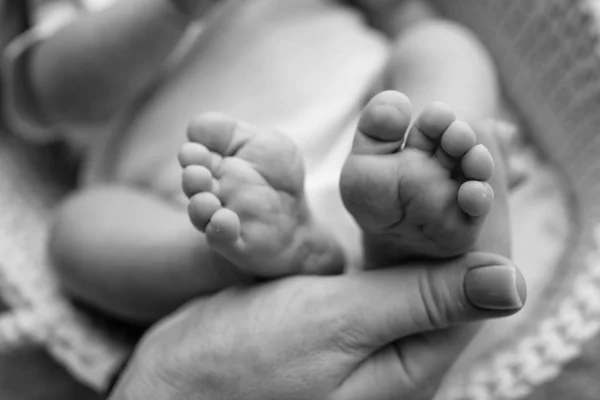 Baby feet in the hands of mother, father, older brother or sister, family. Feet of a tiny newborn close up. Little childrens feet surrounded by the palms of the family. Parents and their child.