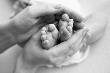 Baby feet in the hands of mother, father, older brother or sister, family. Feet of a tiny newborn close up. Little childrens feet surrounded by the palms of the family. Parents and their child. 