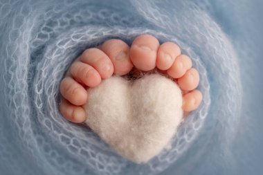 Legs, toes, foot and heels of a newborn. The feet wrapped in a blue knitted blanket. Macro stidio photo, close-up. Knitted blue heart in babys legs. 