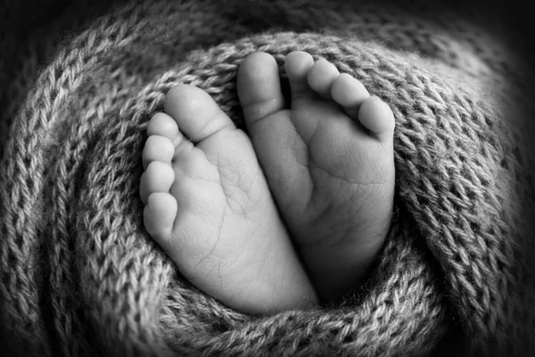 Soft feet of a newborn in a woolen blanket Close-up of toes, heels and feet of a baby.The tiny foot of a newborn. Baby feet covered with isolated background. Black and white studio macro photography