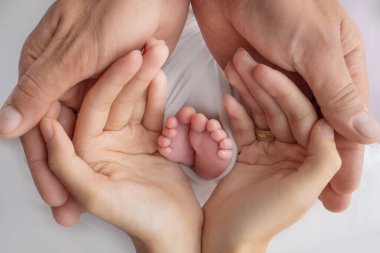 Small feet of a newborn in the hands of parents. Loving palms of the hands of mother and father. Conceptual image of fatherhood. Close-up, selective focus. Professional photography a white background