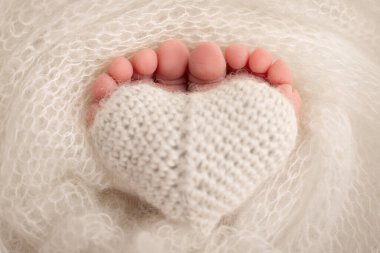 The tiny foot of a newborn baby. Soft feet of a new born in a wool white blanket. Closeup of toes, heels and feet of a newborn. Knitted heart in the legs of baby. Macro studio photography. 