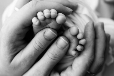 Little feet of a newborn in the hands of mom. The loving palm hand of a mother. Concept image of motherhood. Close-up, selective focus. Black and white professional photography. 