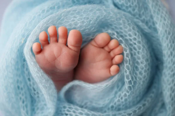 Close-up of tiny, cute, bare toes, heels and feet of a newborn girl, boy. Baby foot on blue soft coverlet, blanket. Detail of a newborn baby legs.Macro horizontal professional studio photo.